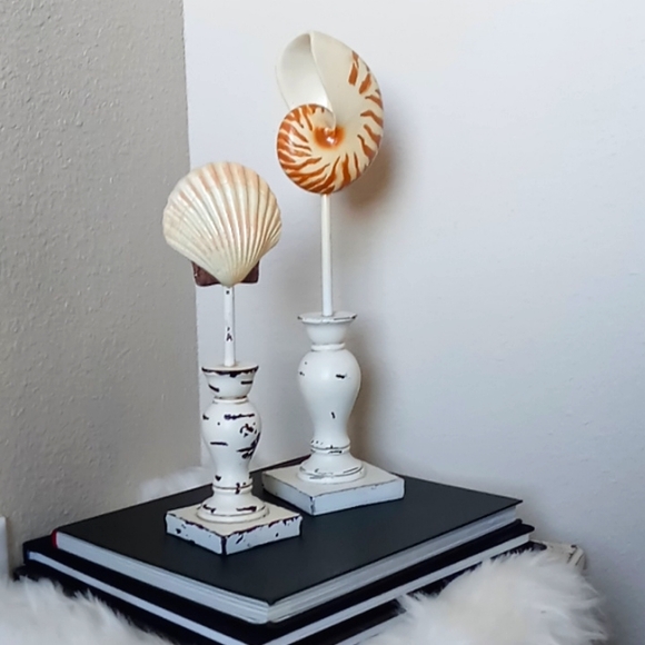 "SHABBY CHIC" Shell Decor - Picture 2 of 12